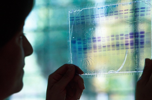 Investigación - Grados en la UAH 